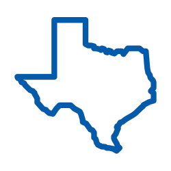 Texas icon